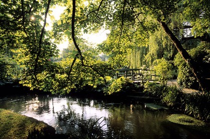 France, Eure (27), Giverny, jardin de Claude Monet, le bassin aux nymphéas