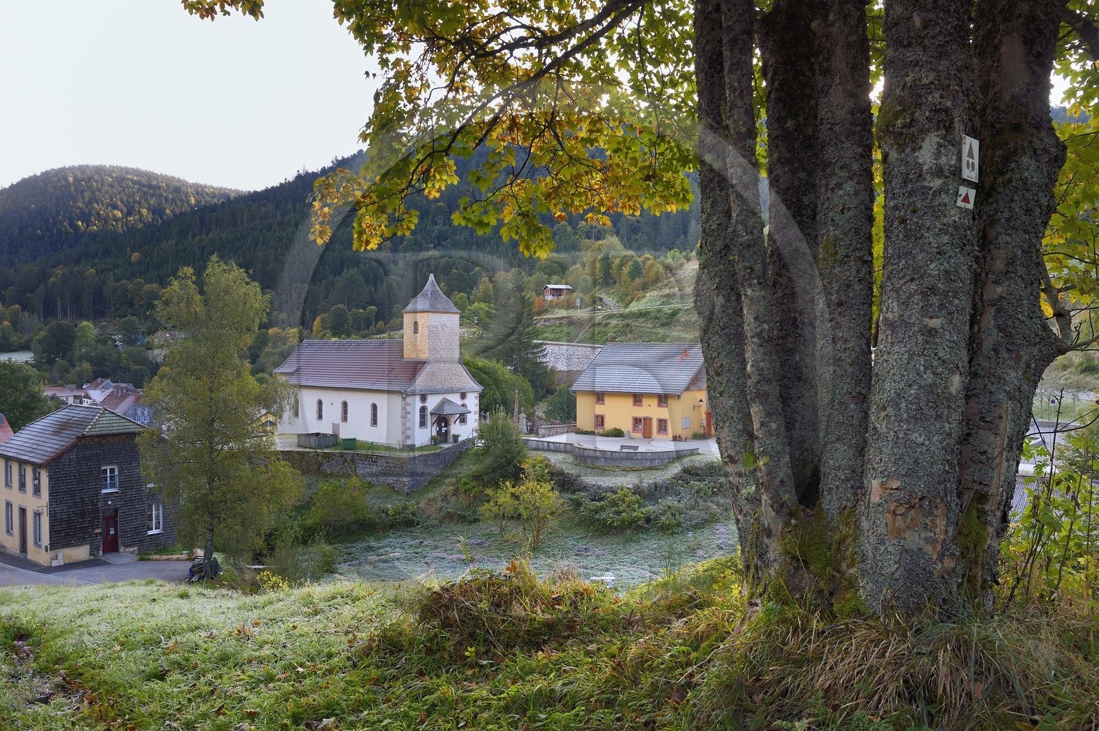 France, Vosges (88), Le Valtin, village de la haute-vallée de la Meurthe avec le givre des gelées matinales