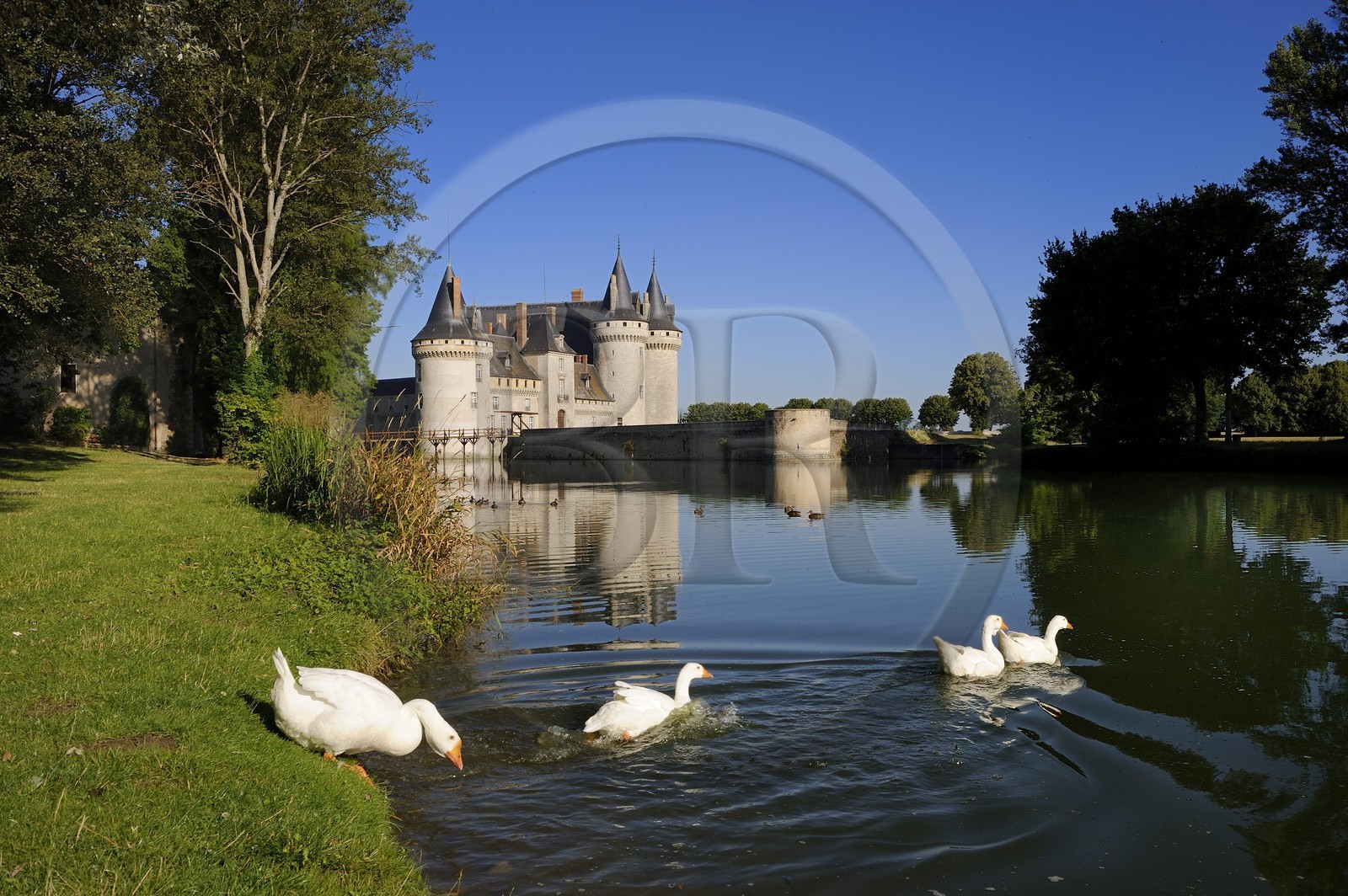 France, Loiret (45), Vallée de la Loire classée Patrimoine Mondial de l' UNESCO, Sully-sur-Loire, château du XIVe XVIIe siècles, mention obligatoire : Châteaux de Sully-sur-Loire, propriété du département du Loiret