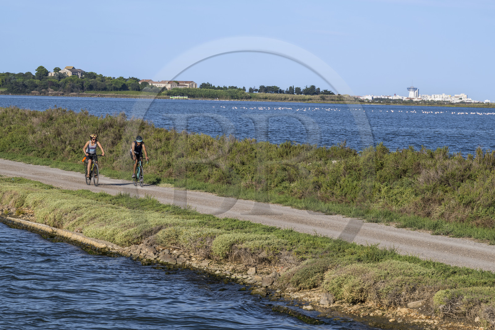 France, Hérault (34), Villeneuve-lès-Maguelone (Palavas-Les-Flots), cyclistes sur le chemin de halage du canal du Rhône à Sète, la cathédrale Saint-Pierre-et-Saint-Paul de Maguelone et Palavas-Les-Flots en arrière plan