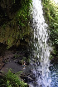 Caraïbes, Ile de la Dominique, Castle Bruce, Parc national du Morne Trois Pitons classé Patrimoine Mondial de l'UNESCO, dans le sous-bois tropical, le bassin d'émeraude (Emerald Pool) et sa cascade