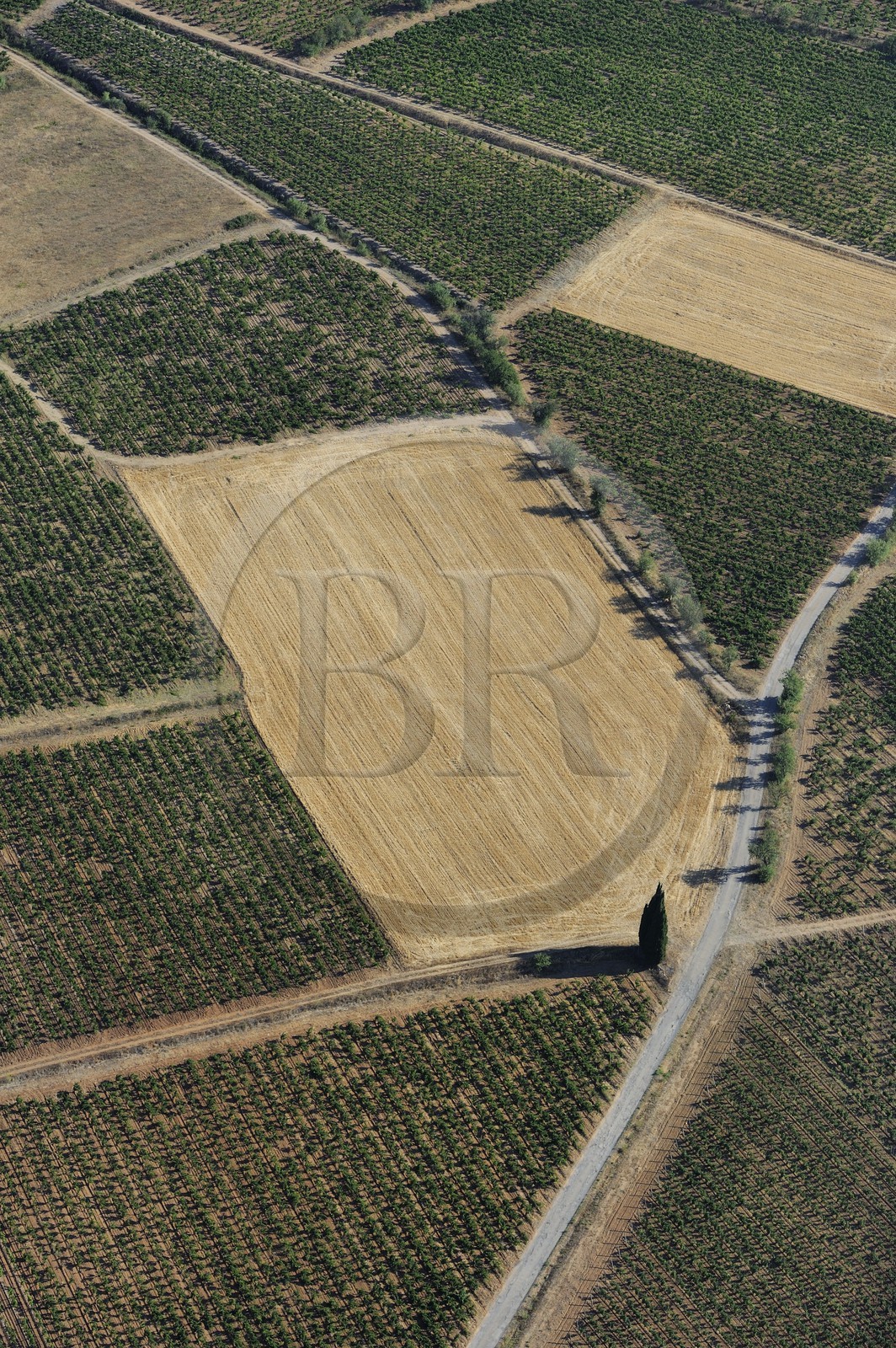 France, Aude, vineyards of the Corbieres region (aerial view)