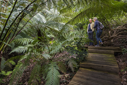 France, Côtes-d'Armor (22), Plouguiel, le Jardin botanique du Kestellic, classé jardin remarquable, Guirec Maréchal Riou