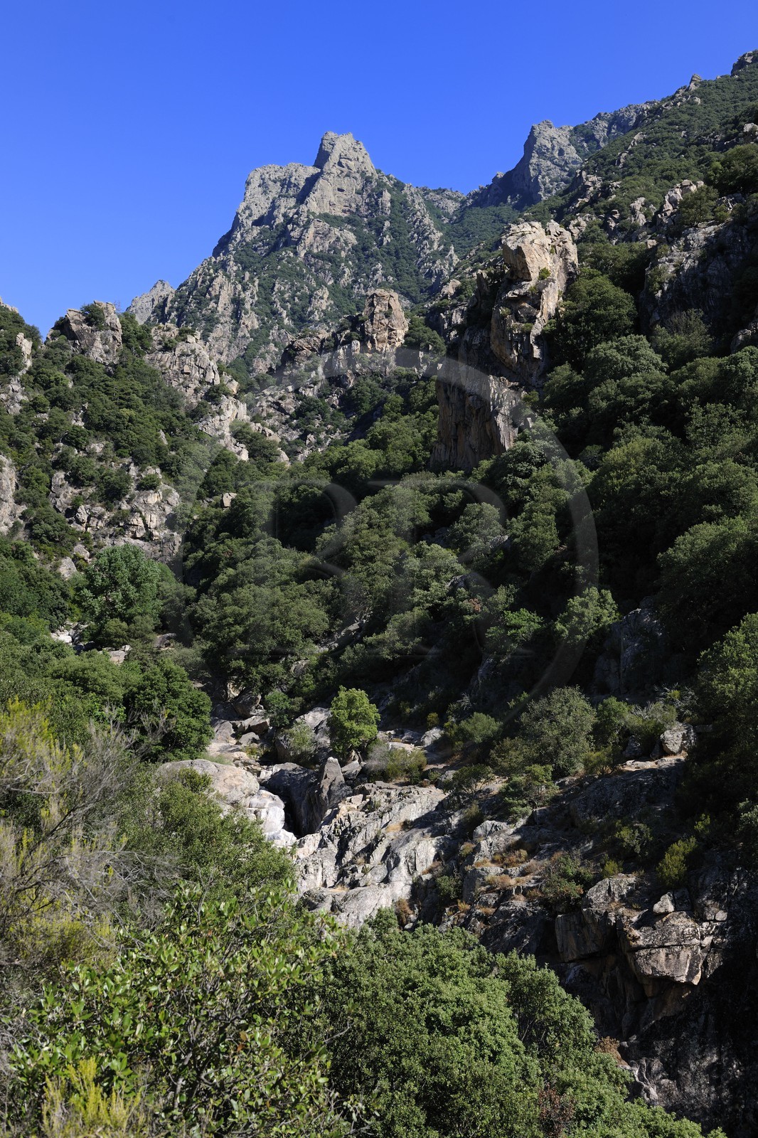 France, Herault, Mons la Trivalle, Heric gorges in the mountain of Caroux at the heart of the Regional Natural Park of Upper Languedoc, the mount Caroux in the back