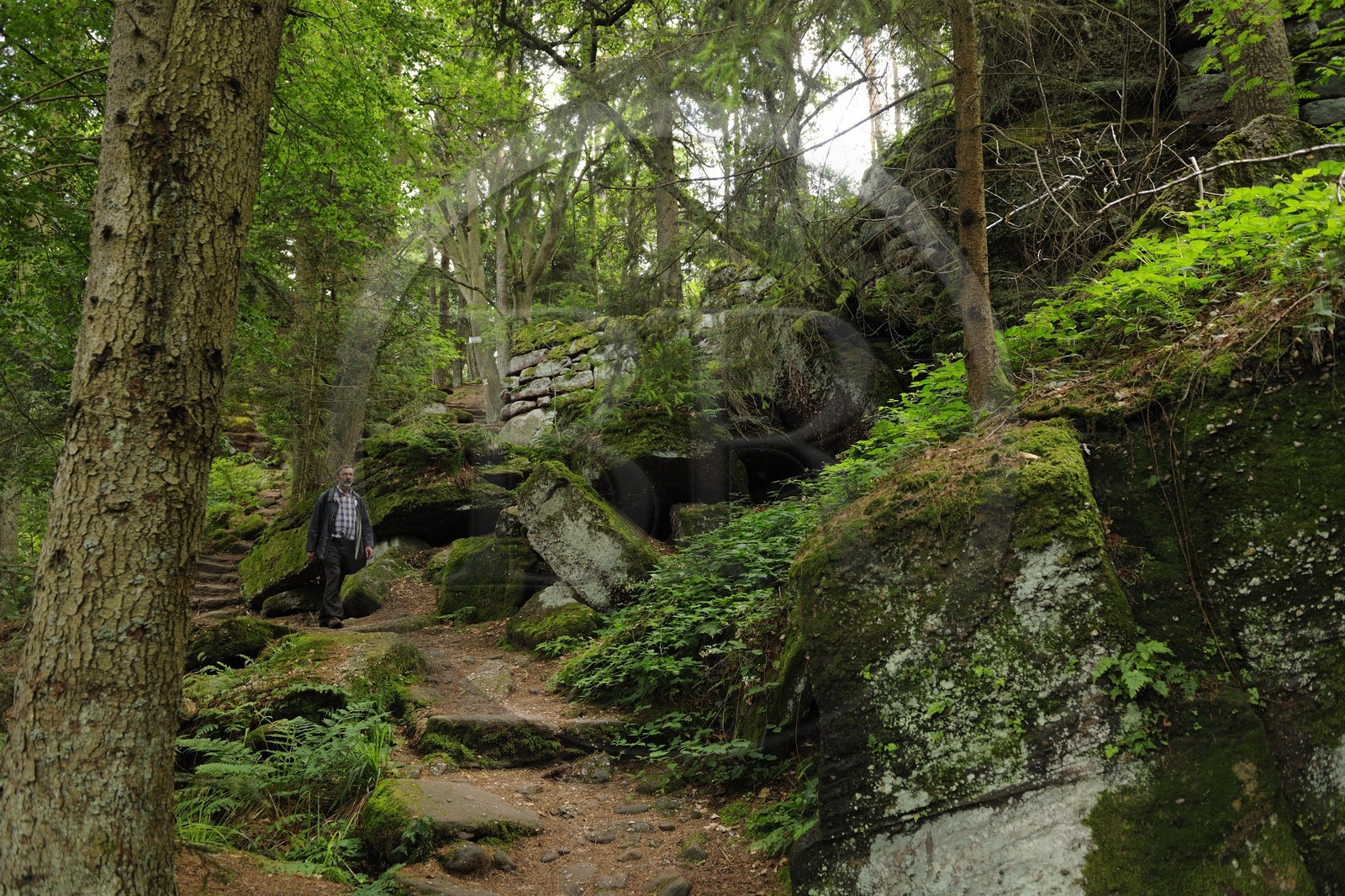 France, Bas Rhin, Mont Saint Odile, Pagan Wall