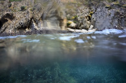 France, Var (83), Iles d'Hyères, Parc national de Port Cros, Ile de Port-Cros, plage de la Palud, le rocher du Rascas, herbier de Posidonie