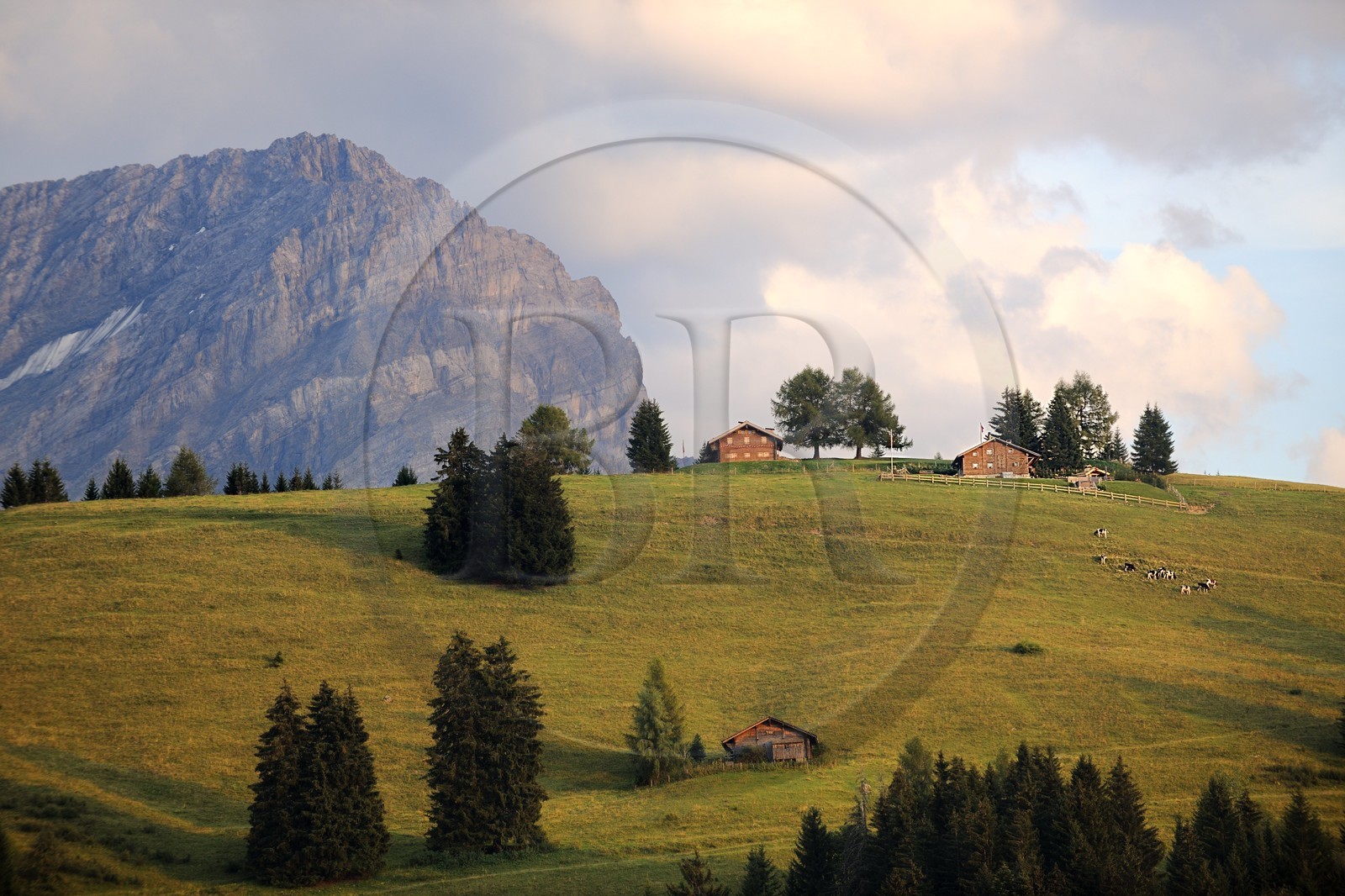 Suisse, canton de Vaud, Villars-sur-Ollon au Col de la Croix et le Grand Muveran