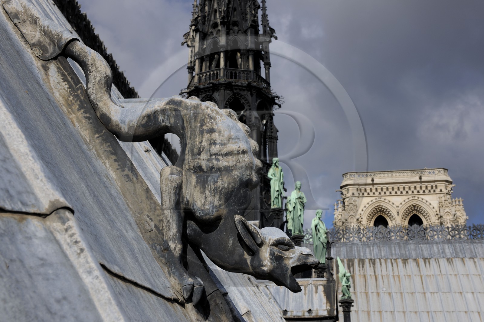 France, Paris (75), île de la Cité, la cathédrale Notre-Dame, gargouille sur le toit