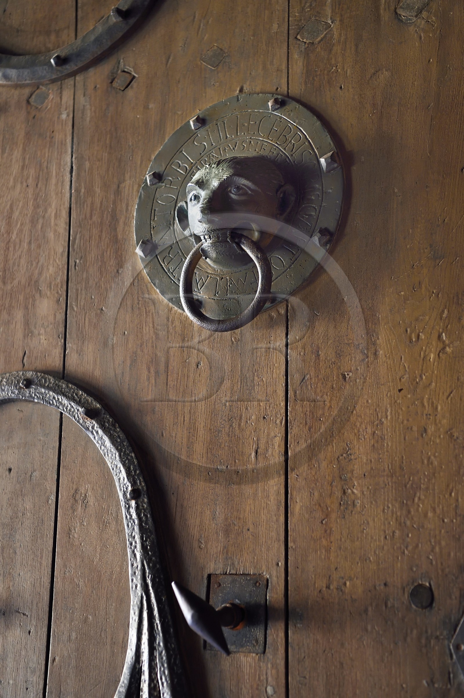 France, Haute-Loire (43), Brioude, la Basilique Saint-Julien de Brioude de style roman auvergnat, heurtoir du XIIe siècle en bronze de la porte sud qui représente un faciès de singe malicieu