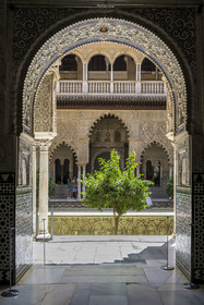 Espagne, Andalousie, Séville, Alcazar de Séville (Reales Alcazares de Sevilla), classé Patrimoine Mondial de l'UNESCO, Mudejar Palace or Palace of Pedro I, la Cour des Demoiselles (Patio de las Doncellas)