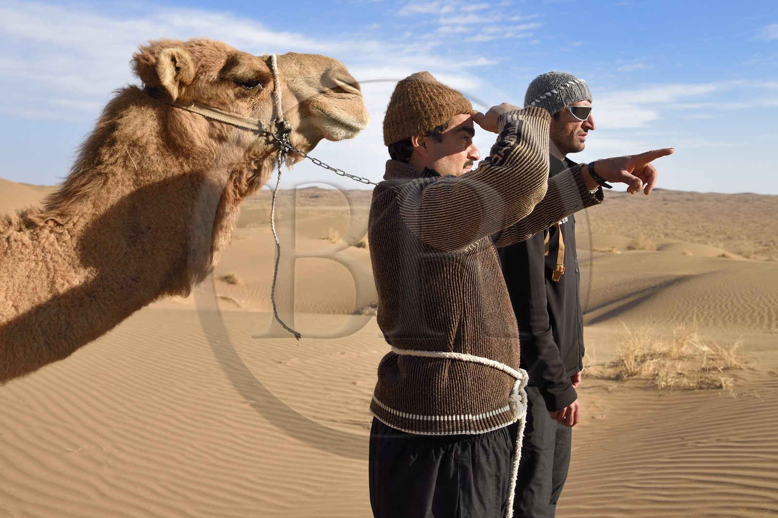 Iran, Isfahan province, Dasht-e Kavir desert, Mesr in Khur and Biabanak County, camel driver and camels in the desert