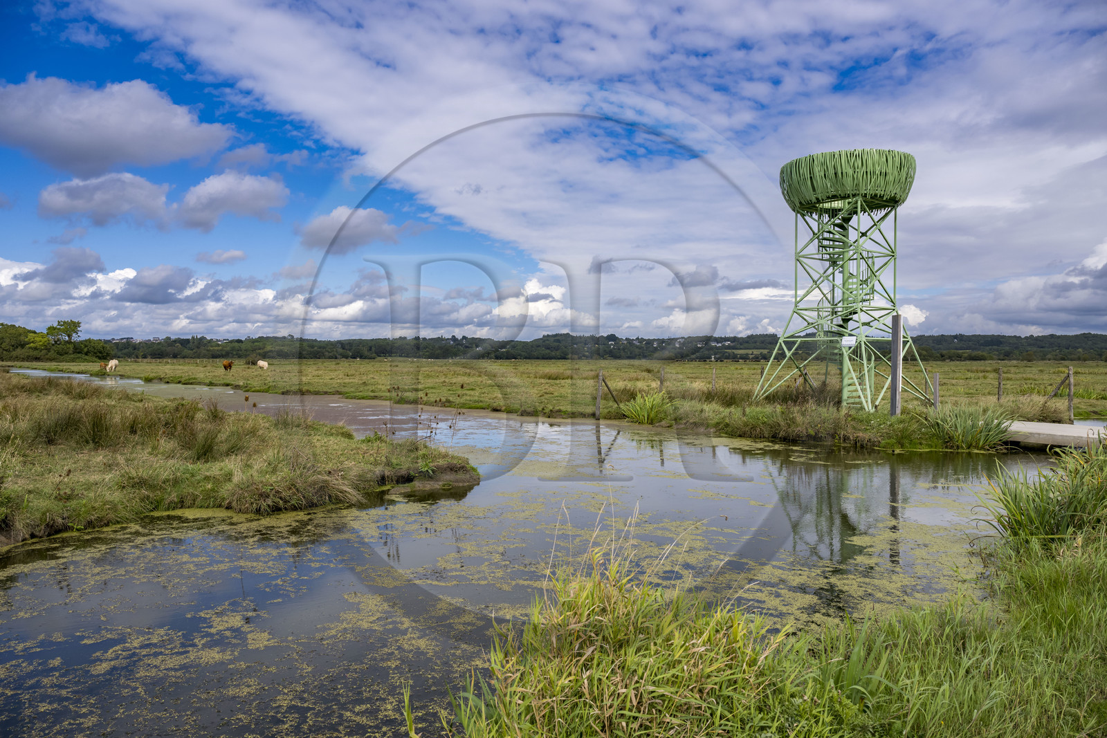 France, Loire-Atlantique (44), Lavau-sur-Loire, le Nid-Observatoire du Marais du Syl est l'un des trois belvédères aux allures de nid de cigognes grand format qui se trouvent sur le territoire d'Estuaire et Sillon
