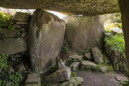France, Côtes-d'Armor (22), Côte de Granit Rose, Trégastel, dolmen Kerguntuil vestige du néolithique final