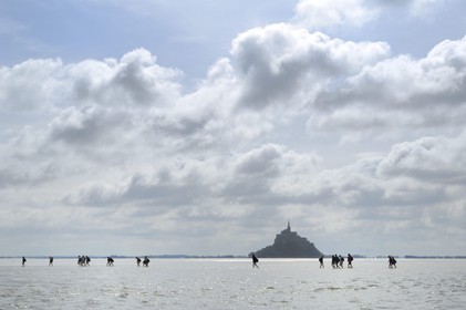 France, Manche (50), traversée à pied de la Baie du Mont Saint-Michel, classé Patrimoine Mondial de l' UNESCO