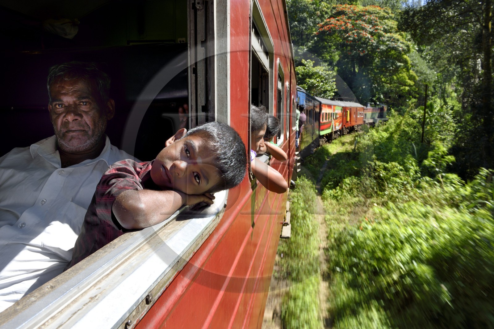 Sri Lanka, Province d'Uva, trajet en train dans la région montagneuse de la culture du thé entre Badulla et Ella