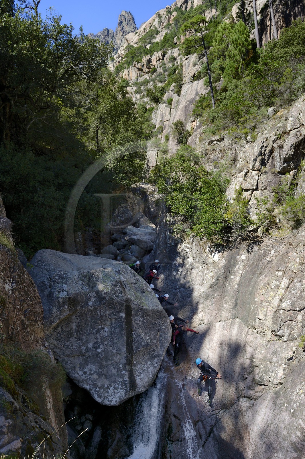 France, Corse-du-Sud (2A), Alta Rocca, Bavella, canyoning dans le torrent de Polischellu
