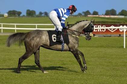 Republic of Ireland, County Meath, Ratoath, Fairyhouse racecourse, horse race
