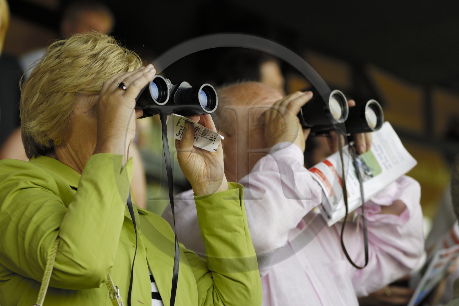 Republic of Ireland, County Meath, Ratoath, Fairyhouse racecourse, racegoers
