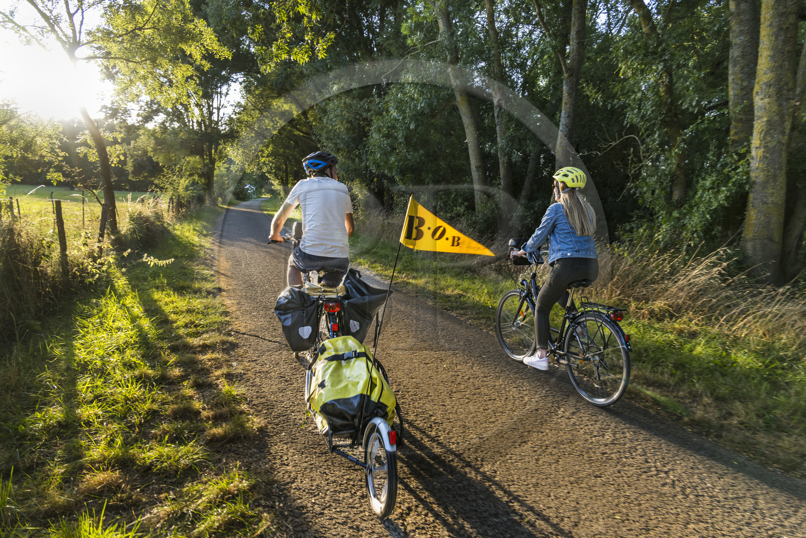 France, Maine-et-Loire, Loire valley listed as World Heritage by UNESCO, Saumur towards Saint-Hilaire, cycling along the banks of the Loire on the Loire à Vélo cycle path, bike with a trailer carrying camping equipment