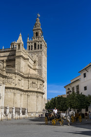 Espagne, Andalousie, Séville, quartier de Santa Cruz, la Giralda, ancien minaret almohade de la Grande Mosquée reconverti en clocher de la cathédrale, classé Patrimoine Mondial de l'UNESCO