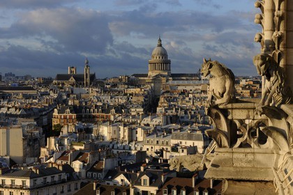 France, Paris (75), île de la Cité, la cathédrale Notre-Dame, une chimère observent le Panthéon
