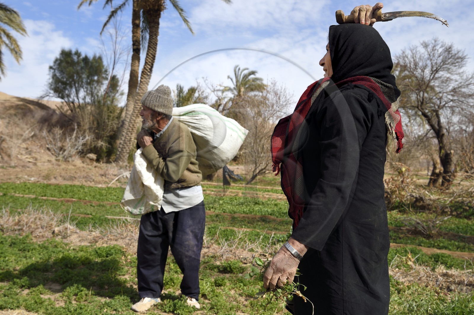 Iran, Province d'Ispahan, désert du Dasht-e Kavir, l'oasis d'Arousan dans la région de Khur et Biabanak, couple de paysan dans son champ