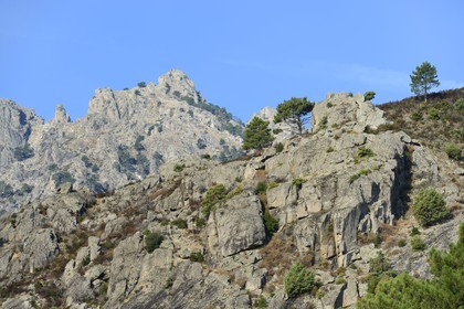 France, Haute Corse, Corte, Restonica valley