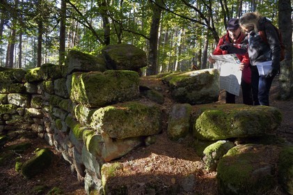 France, Bas-Rhin (67), Mont Saint-Odile, randonnée le long du Mur Païen, vestige d'un mur d'enceinte probablement de l'époque mérovingienne d'une longueur totale de onze kilomètres