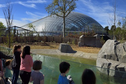 France, Paris (75), Le Parc zoologique de Paris (Zoo de Vincennes), tapir du Brésil (Tapirus terrestris) et la Grande Serre en arrière plan