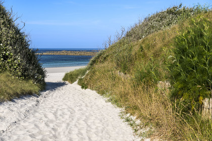 France, Finistère (29), Iles du Ponant, Ile de Batz, plage de la Grève Blanche