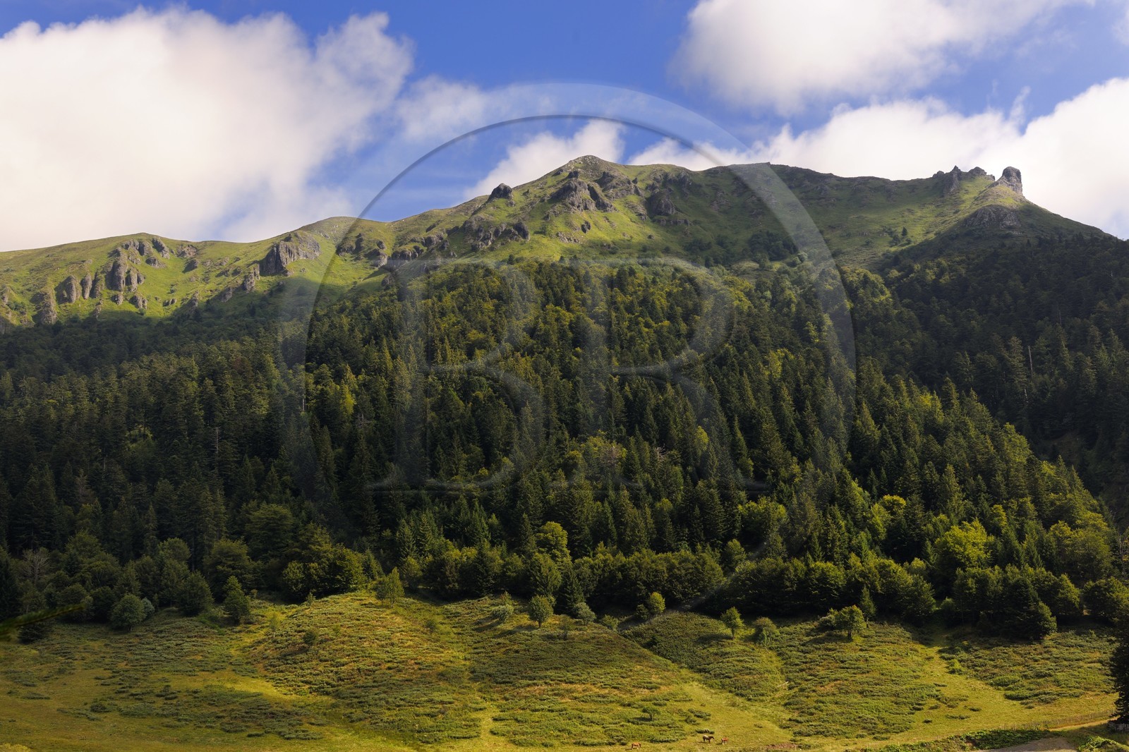 France, Cantal (15), Parc Naturel Régional des Volcans d'Auvergne, Le Lioran, le sommet du Téton de Venus au centre et le Rocher du Bec de l'Aigle à droite qui dominent la vallée de l'Alagnon