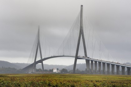 France, Seine-Maritime (76), Réserve Naturelle de l'estuaire de la Seine et cargo passant sous le pont de Normandie dans les nuages, la roselière au premier plan