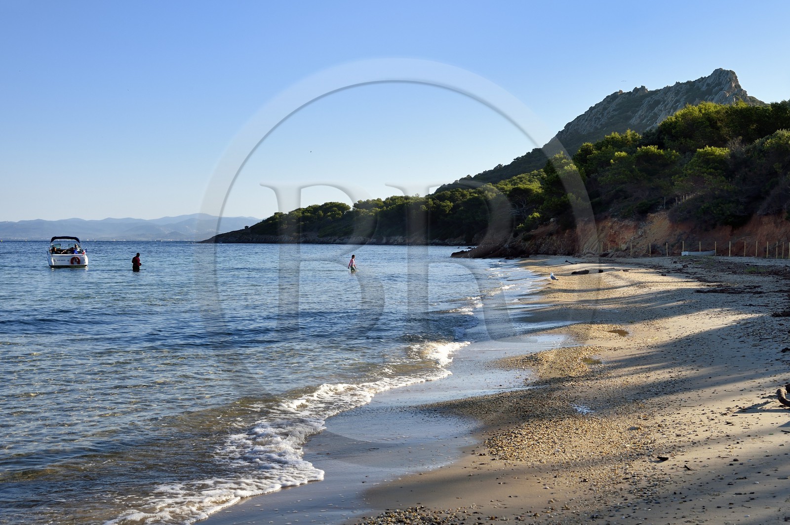 France, Var (83), Iles d'Hyères, parc national de Port Cros, Ile de Porquerolles, plage Notre-Dame dans la Baie de l'Alycastre et le Cap des Mèdes en arrière-plan