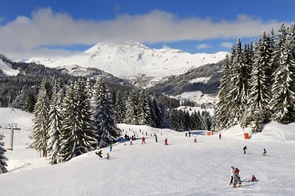 France, Haute-Savoie (74), Morzine, la vallée d'Aulps, massif du Chablais, domaine skiable des Portes du Soleil, vue sur le Roc d'Enfer (2243m) depuis le Pléney (1554m)