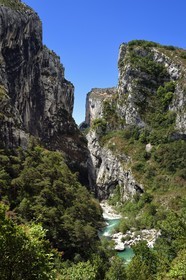 France, Alpes de Haute Provence, Parc Naturel Régional du Verdon, Rougon, Grand Canyon of Verdon in the corridor Samson and the beginning of the trail sentier Blanc-Martel on the GR4
