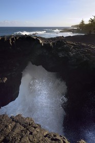 Ile de la Reunion, Côte Sud, Sainte-Philippe, vagues puissantes au lieu dit Le Souffleur d'Arbonne