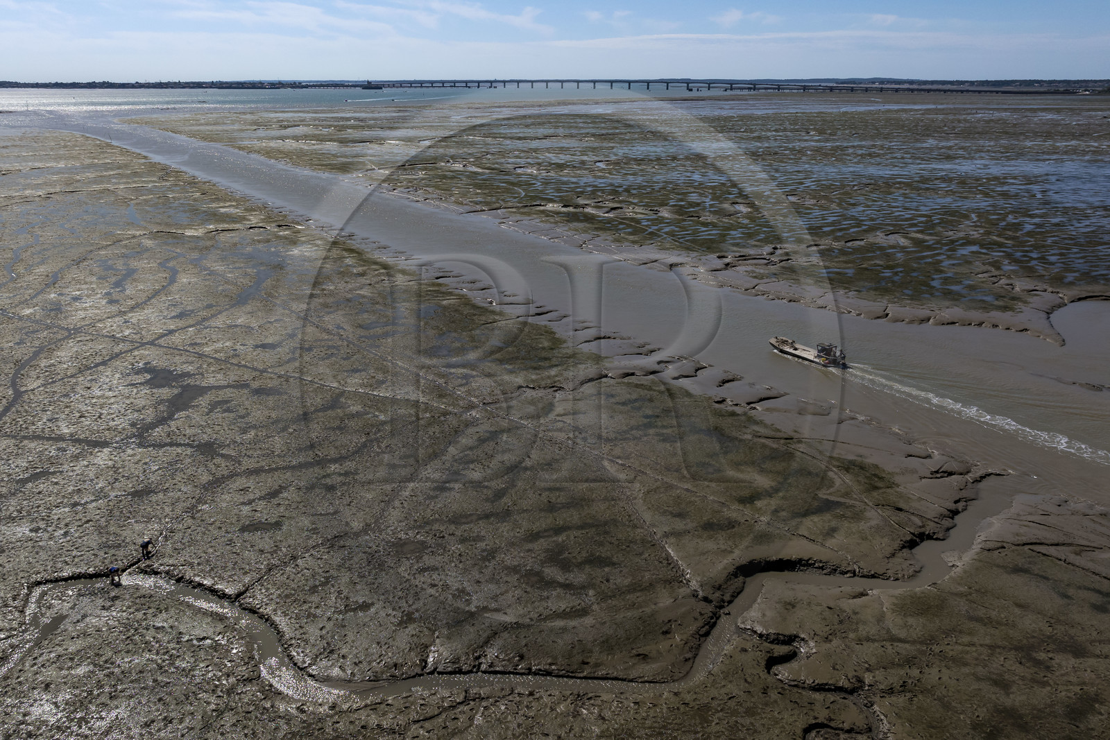 France, Charente Maritime, Oleron island, le Chateau-d'Oleron, oyster boat in the port exit channel at low tide and onshore fishermen on the foreshore (aerial view)