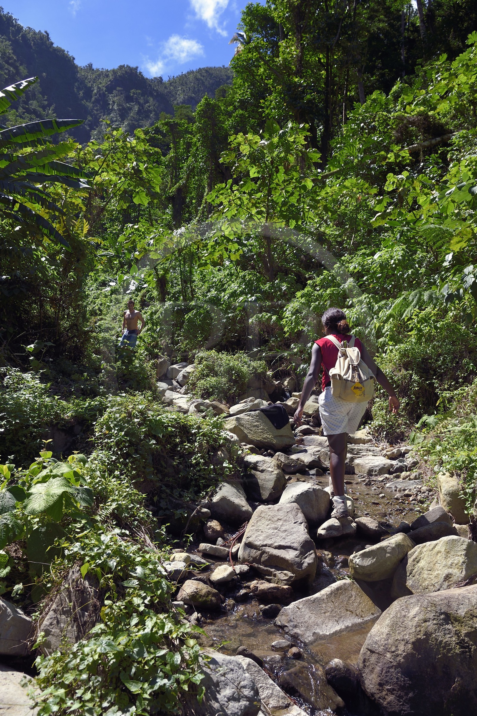 Caraïbes, Ile de la Dominique, randonneurs sur le segment 13 du Waitukubuli National Trail dans le nord de l'île entre Pennville et Capuchin