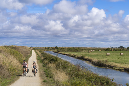 France, Vendée (85), île de Noirmoutier, Barbatre, cyclistes sur la piste cyclable qui suit la digue entre le Port de Bonhomme et le passage du Gois