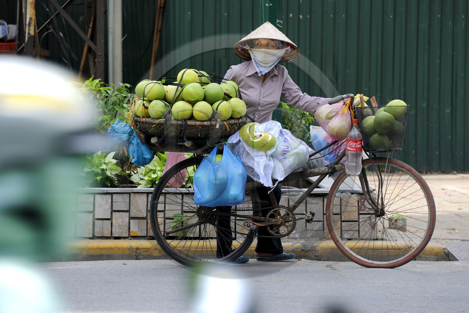Vietnam, Hanoï, vieille ville, marchande de fruits à vélo