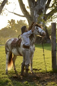 Argentine, province de Buenos Aires, San Antonio de Areco, estancia La Bamba de Areco, gaucho enlevant le harnai de son cheval