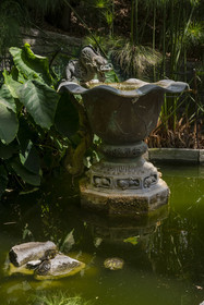Italy, Liguria, Province of Imperia, Ventimiglia, Hanbury Botanical Garden, the fountain of the dragon and turtles