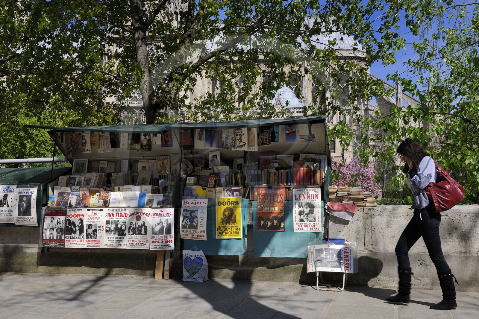 France, Paris (75), quai de Montebello, bouquinistes devant la cathédrale Notre-Dame de Paris