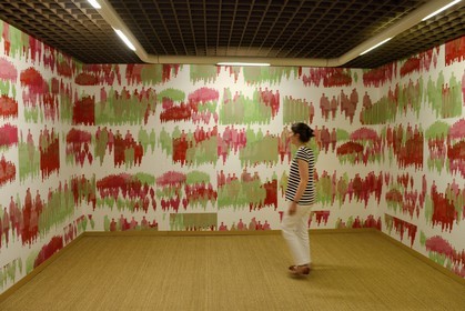 France, Haut-Rhin (68), Mulhouse,  Rixheim, musée du papier peint, création primée pour l'ecole du Rhin Supérieur de Moussa Moussa