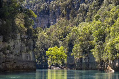 Var (83) rive gauche et Alpes-de-Haute-Provence (04) rive droite, Parc Naturel Régional du Verdon, Basses Gorges du Verdon en aval du lac de Sainte Croix, gorges de Baudinard