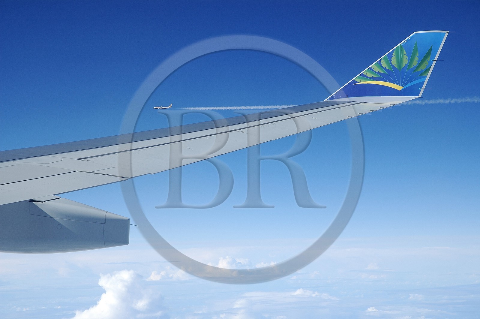 Air Caraïbes (compagnie aérienne), deux avions volant côte à côte (vue aérienne)