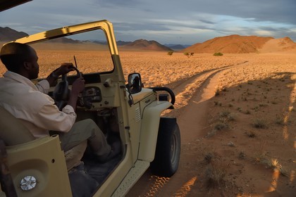 Namibie, région de Hardap, désert du Namib à l'Est du parc national Namib Naukluft vers Sossusvlei, plaine du désert recouverte d'herbe au coucher de soleil