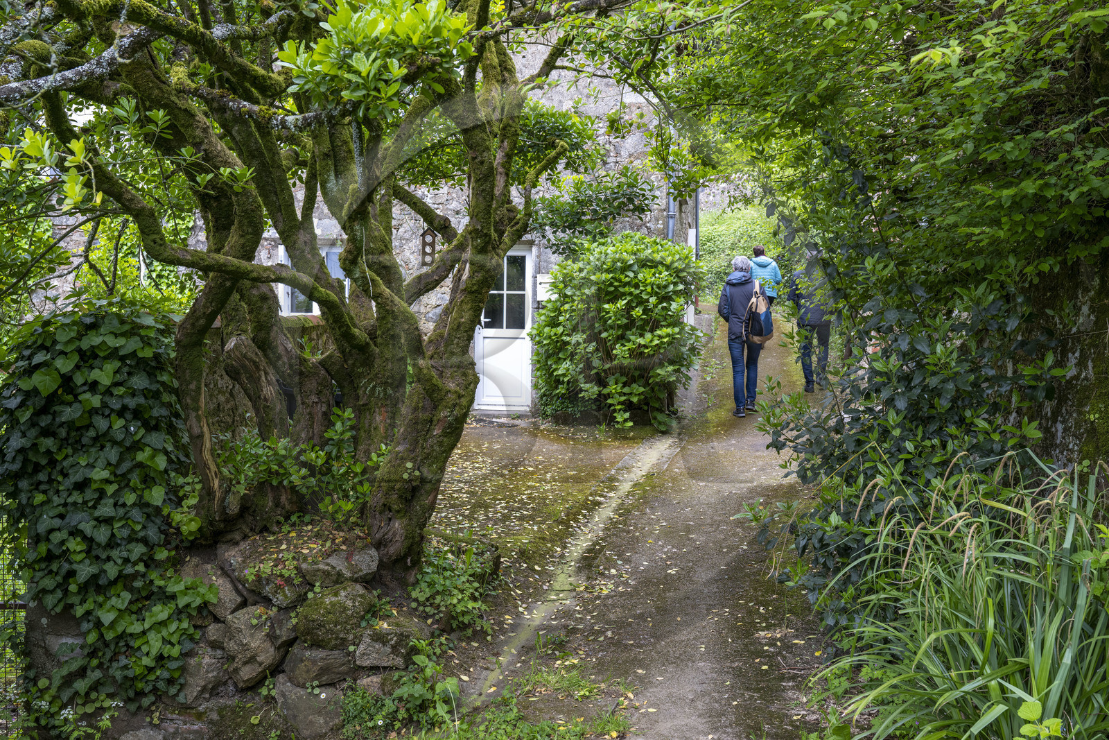 France, Vendée (85), Pouzauges, une des multiples venelles sillonant la vieille ville