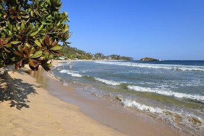 Sri Lanka, Province du Sud, Matara (district), Weligama, plage de Mirissa