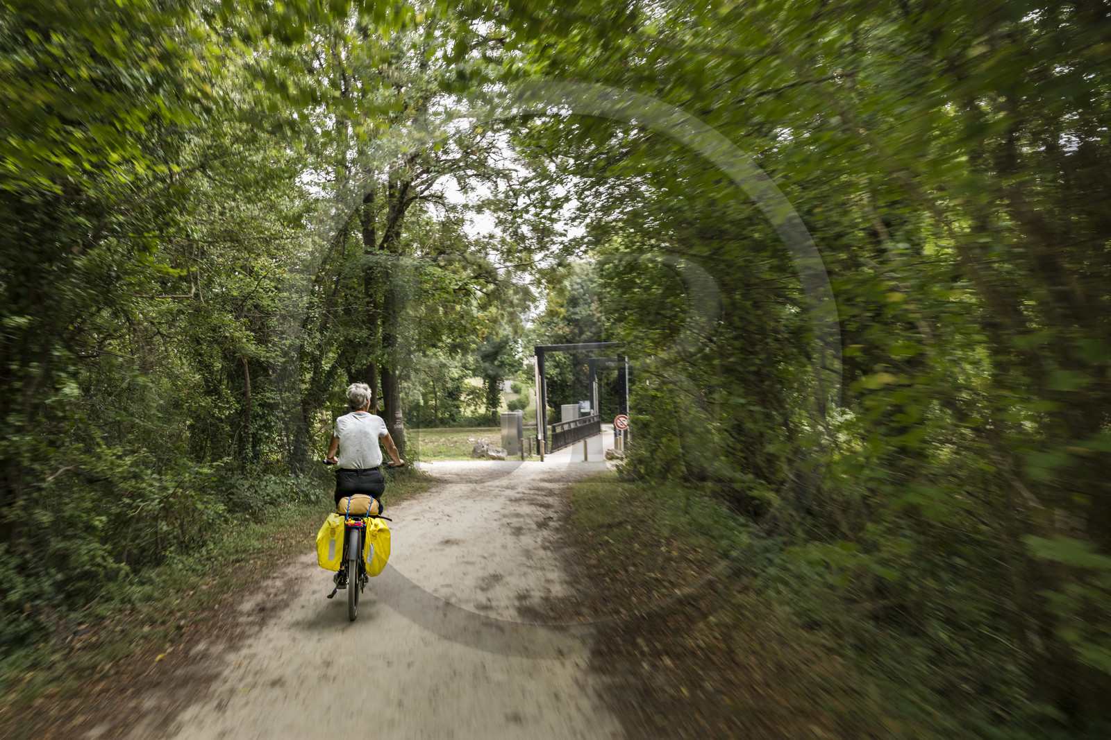 France, Charente-Maritime (17), Echillais, cycliste dans le Bois du Chay abordant la passerelle levante qui enjambe le canal Charente-Seudre (canal de la Bridoire)